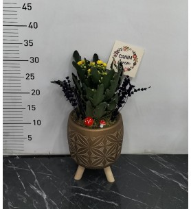 Ayaklı Saksı da Sarı Kalançhoe Çiçeği